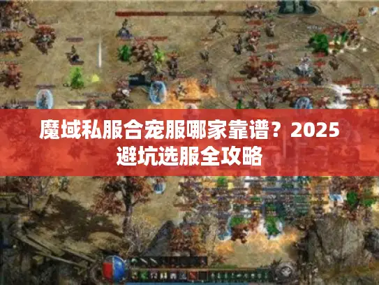 魔域私服合宠服哪家靠谱？2025避坑选服全攻略