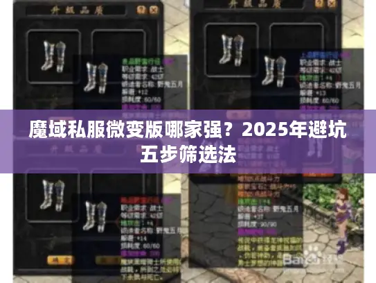 魔域私服微变版哪家强？2025年避坑五步筛选法