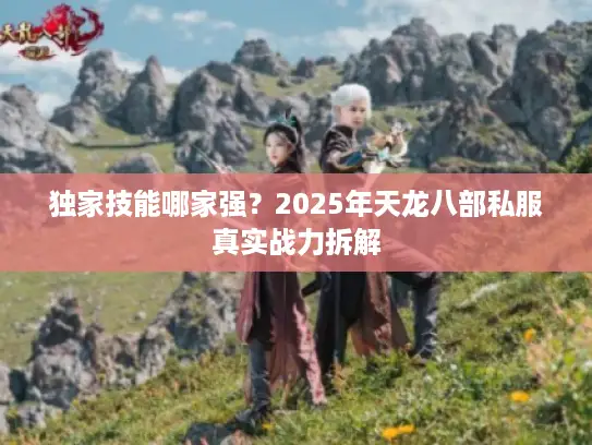 独家技能哪家强？2025年天龙八部私服真实战力拆解