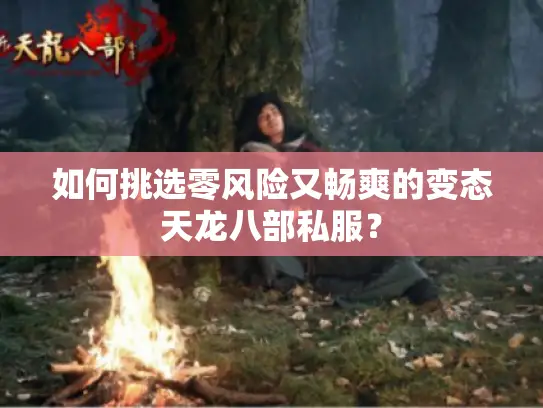 如何挑选零风险又畅爽的变态天龙八部私服? 如何挑选零风险又畅爽的变态天龙八部私服?