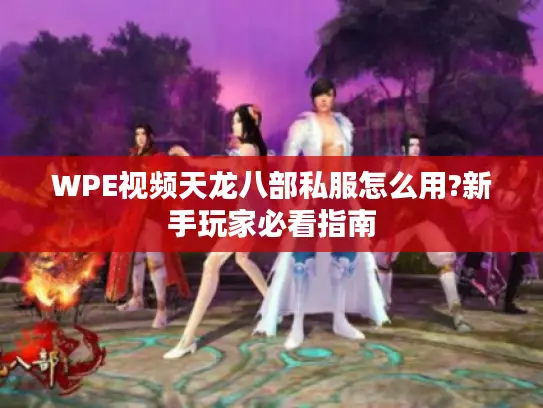 WPE视频天龙八部私服怎么用?新手玩家必看指南