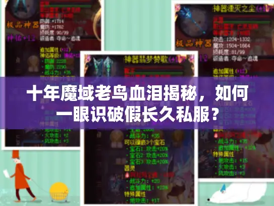 十年魔域老鸟血泪揭秘，如何一眼识破假长久私服？