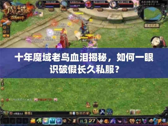 十年魔域老鸟血泪揭秘，如何一眼识破假长久私服？