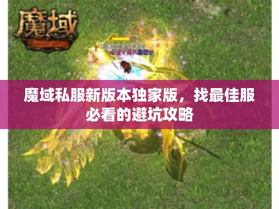 魔域私服新版本独家版，找最佳服必看的避坑攻略