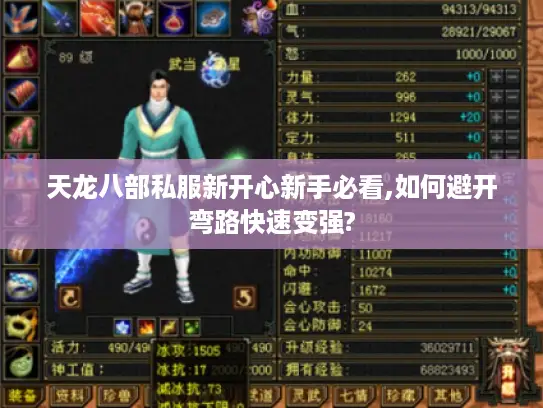 天龙八部私服新开心新手必看,如何避开弯路快速变强? 天龙八部私服新开心新手必看,如何避开弯路快速变强?