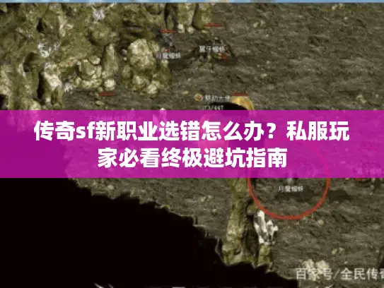 传奇sf新职业选错怎么办？私服玩家必看终极避坑指南