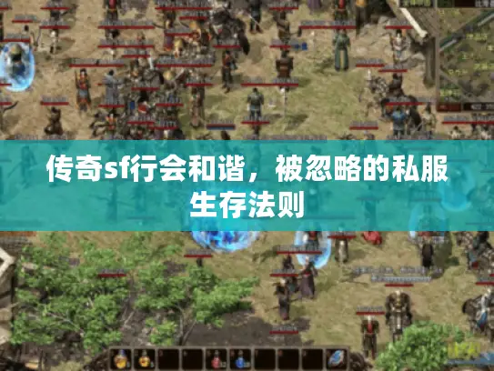 传奇sf行会和谐，被忽略的私服生存法则