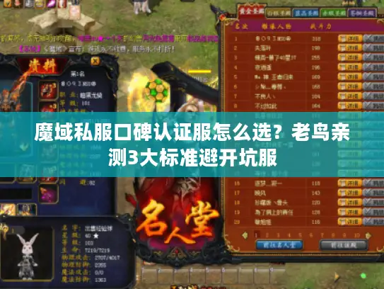 魔域私服口碑认证服怎么选?老鸟亲测3大标准避开坑服 魔域私服口碑认证服怎么选?老鸟亲测3大标准避开坑服