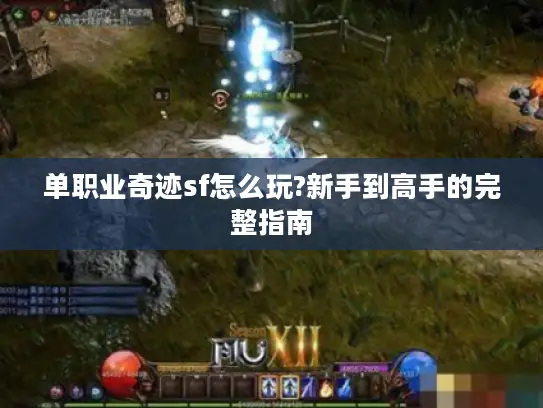 单职业奇迹sf怎么玩?新手到高手的完整指南 单职业奇迹sf怎么玩?新手到高手的完整指南