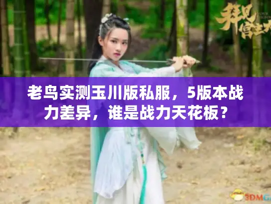 老鸟实测玉川版私服，5版本战力差异，谁是战力天花板？