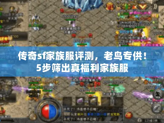 传奇sf家族服评测,老鸟专供!5步筛出真福利家族服 传奇sf家族服评测,老鸟专供!5步筛出真福利家族服