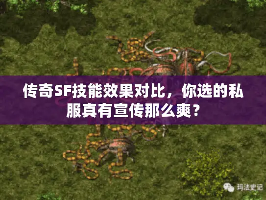 传奇SF技能效果对比,你选的私服真有宣传那么爽? 传奇SF技能效果对比,你选的私服真有宣传那么爽?