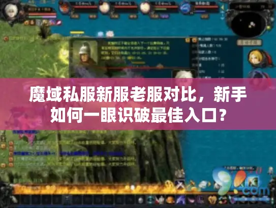 魔域私服新服老服对比，新手如何一眼识破最佳入口？
