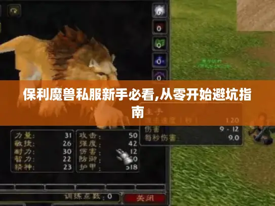 保利魔兽私服新手必看,从零开始避坑指南