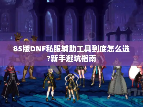 85版DNF私服辅助工具到底怎么选?新手避坑指南