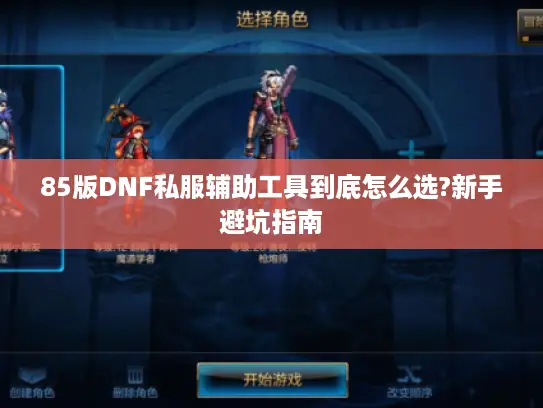 85版DNF私服辅助工具到底怎么选?新手避坑指南