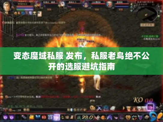变态魔域私服 发布，私服老鸟绝不公开的选服避坑指南