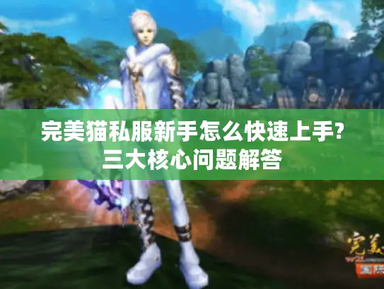 完美猫私服新手怎么快速上手?三大核心问题解答 完美猫私服新手怎么快速上手?三大核心问题解答