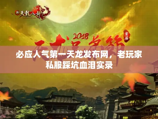 必应人气第一天龙发布网，老玩家私服踩坑血泪实录