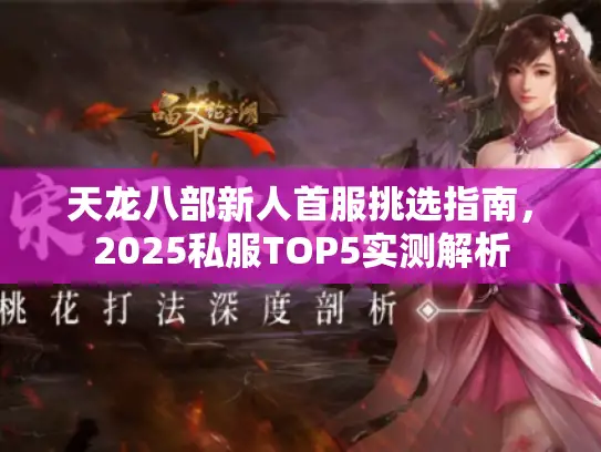 天龙八部新人首服挑选指南,2025私服TOP5实测解析 天龙八部新人首服挑选指南,2025私服TOP5实测解析