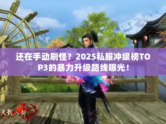 还在手动刷怪？2025私服冲级榜TOP3的暴力升级路线曝光！