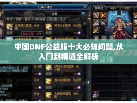 中国DNF公益服十大必知问题,从入门到精通全解析