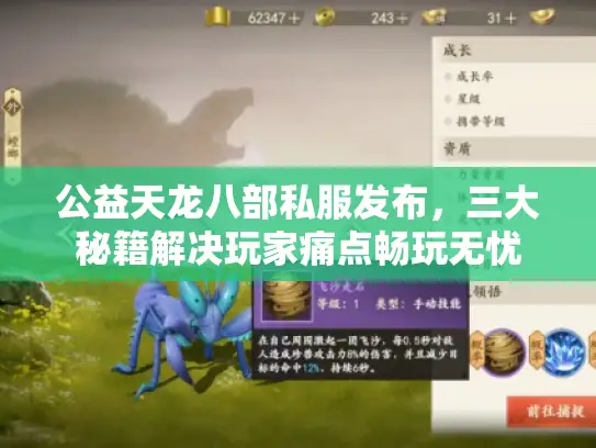 公益天龙八部私服发布，三大秘籍解决玩家痛点畅玩无忧