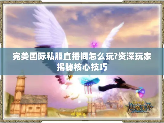 完美国际私服直播间怎么玩?资深玩家揭秘核心技巧 完美国际私服直播间怎么玩?资深玩家揭秘核心技巧