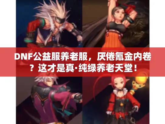 DNF公益服养老服,厌倦氪金内卷?这才是真·纯绿养老天堂! DNF公益服养老服,厌倦氪金内卷?这才是真·纯绿养老天堂!