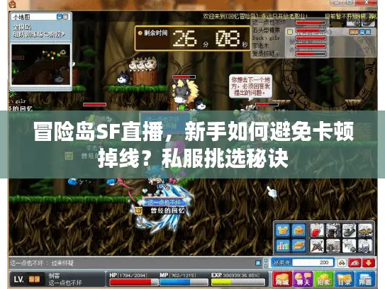 冒险岛SF直播，新手如何避免卡顿掉线？私服挑选秘诀