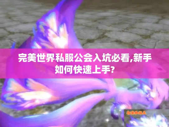完美世界私服公会入坑必看,新手如何快速上手? 完美世界私服公会入坑必看,新手如何快速上手?
