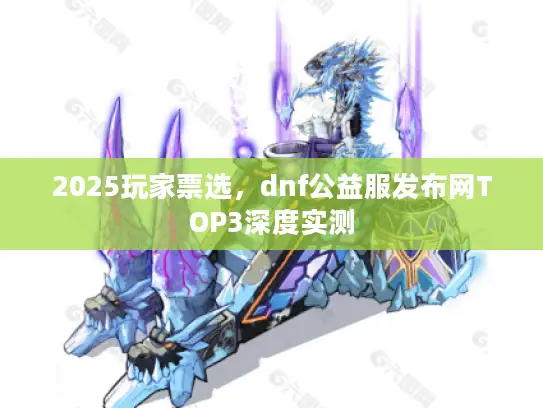 2025玩家票选，dnf公益服发布网TOP3深度实测