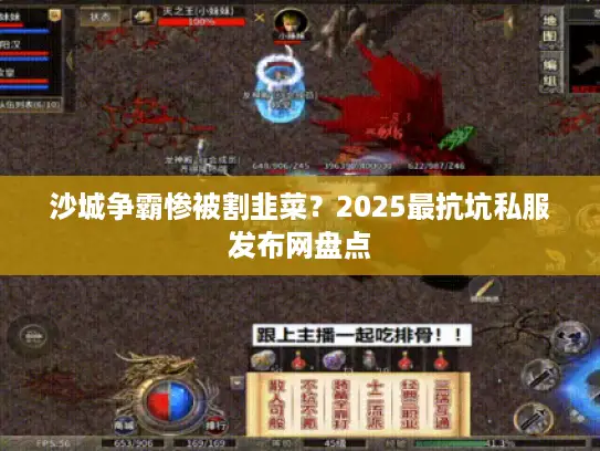 沙城争霸惨被割韭菜？2025最抗坑私服发布网盘点