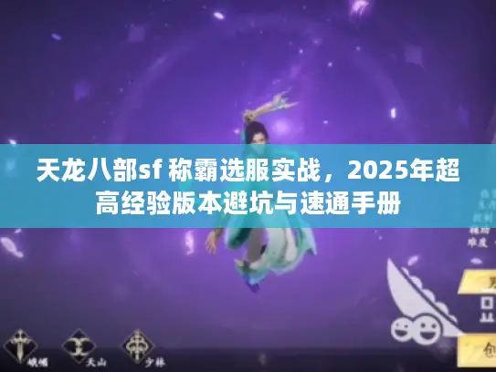 天龙八部sf 称霸选服实战，2025年超高经验版本避坑与速通手册