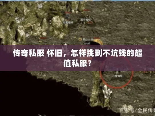 传奇私服 怀旧，怎样挑到不坑钱的超值私服？