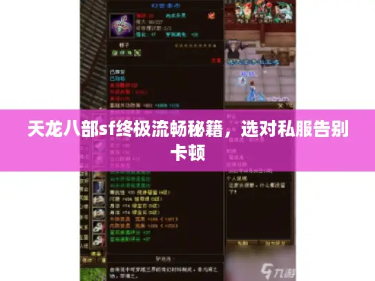 天龙八部sf终极流畅秘籍，选对私服告别卡顿