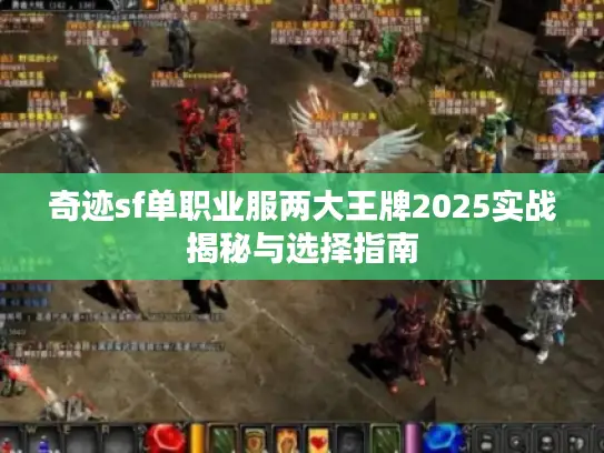 奇迹sf单职业服两大王牌2025实战揭秘与选择指南 奇迹sf单职业服两大王牌2025实战揭秘与选择指南