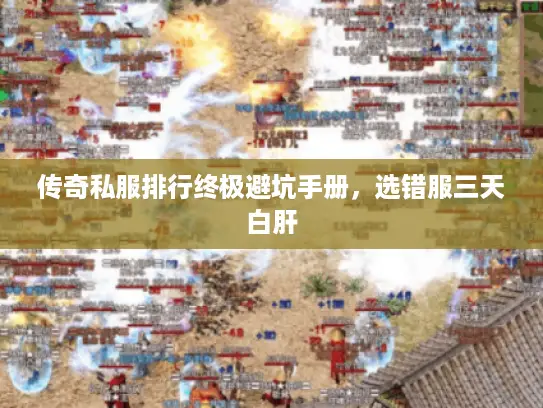 传奇私服排行终极避坑手册，选错服三天白肝