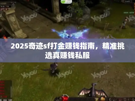 2025奇迹sf打金赚钱指南,精准挑选真赚钱私服 2025奇迹sf打金赚钱指南,精准挑选真赚钱私服
