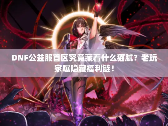 DNF公益服首区究竟藏着什么猫腻？老玩家曝隐藏福利链！
