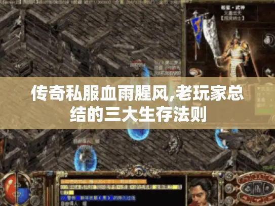 传奇私服血雨腥风,老玩家总结的三大生存法则 传奇私服血雨腥风,老玩家总结的三大生存法则