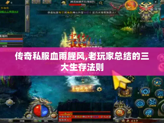 传奇私服血雨腥风,老玩家总结的三大生存法则 传奇私服血雨腥风,老玩家总结的三大生存法则