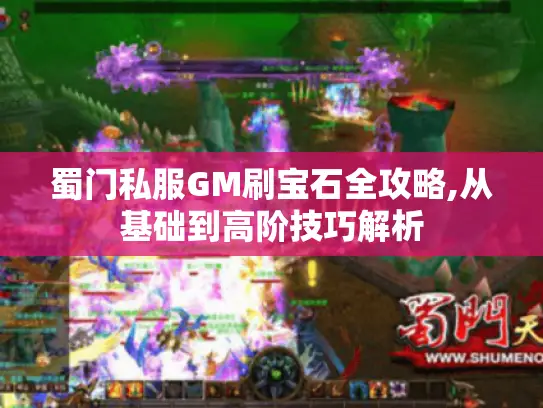 蜀门私服GM刷宝石全攻略,从基础到高阶技巧解析
