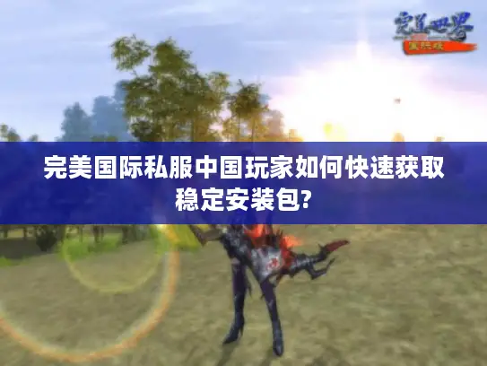 完美国际私服中国玩家如何快速获取稳定安装包? 完美国际私服中国玩家如何快速获取稳定安装包?