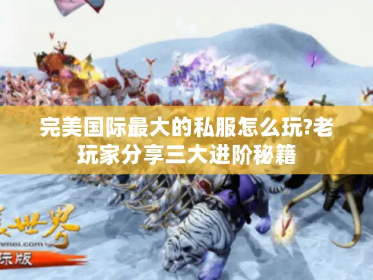 完美国际最大的私服怎么玩?老玩家分享三大进阶秘籍