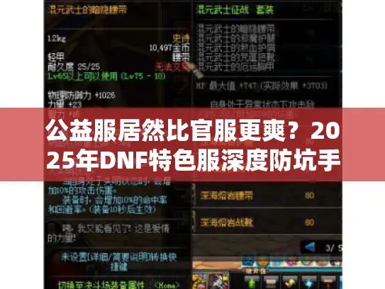 公益服居然比官服更爽？2025年DNF特色服深度防坑手册