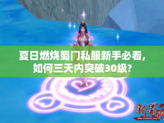 夏日燃烧蜀门私服新手必看,如何三天内突破30级?