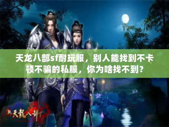 天龙八部sf耐玩服，别人能找到不卡顿不骗的私服，你为啥找不到？