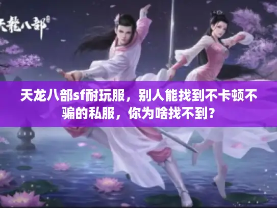 天龙八部sf耐玩服，别人能找到不卡顿不骗的私服，你为啥找不到？