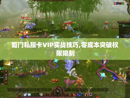 蜀门私服卡VIP实战技巧,零成本突破权限限制